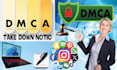 remove infringing,leaked and stolen content under dmca