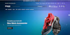 expert in web development