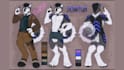 draw anthro, furry, fursona, furry reference sheet, ref sheet, reference sheet