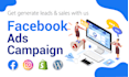 setup and manage facebook ads campaign with conversion API