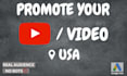 do youtube video promotion professionally in the USA