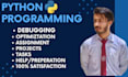 do python programming and debugging