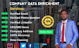 do company data enrichment and email finding