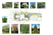teach you landscape design
