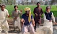 make crazy funny  happy birthday wish video and be indian spokesperson