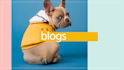post the best content on your blogs