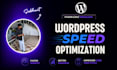 do wordpress speed optimization and improve core web vitals