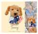 draw vector illustration cartoon dog cat pet potrait