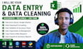 do data entry, data cleaning and data analysis with accuracy
