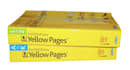 extract records from yellow pages