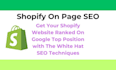 do shopify seo services for google top ranking in ecommerce website