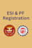 file monthly esi or epf returns and prepare challans