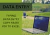 do efficient data entry services with expertise in ms excel