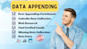 do data appending, enrichment and precise data entry