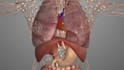 create 3d medical surgery videos