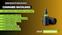 skyrocket SEO with cannabis backlinks