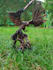 impression 3d de figurines et objets en résine