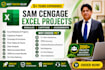 do all excel projects, cengage, formulas and grader projects urgently