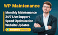 do monthly wordpress website maintenance, updates, security, support and help