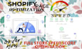 increase shopify store speed seo optimization shopify page score fix bugs coding
