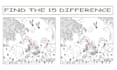 draw spot the difference picture