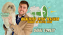 be your irish language teacher