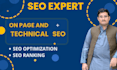 optimize wordpress website by professional technical on page SEO