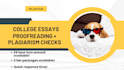 provide thorough editing, and proofreading