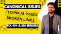 fix 404, broken links, indexing issues and canonical issues