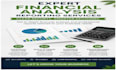 expert financial analysis and reporting services