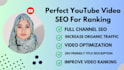 be your youtube video SEO expert