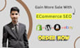 do  SEO for shopify ecommerce store to gain more sale