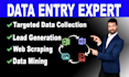 be the best data entry, lead generation and web scraping, web research