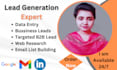 provide targeted b2b lead generation and web research for any industries