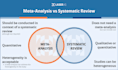do systematic review and meta analysis research