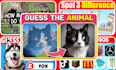 create quiz, trivia questions youtube videos