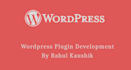 develop functioning wordpress plugin