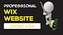 design a professional and modern wix website