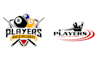 make excellent billiards logo