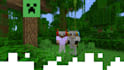 play minecraft with you
