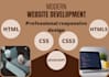 code and design professional website development using HTML CSS javascript