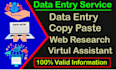 be your perfect data entry va