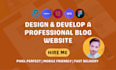 design and develop a professional wordpress website and blog