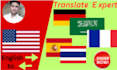translate any document from english to german
