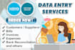 do data entry bookkeeping using xero