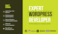 build professional wordpress site, wordpress developer