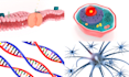 do 3d medical and scientific modeling and animation
