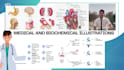 do eye catching medical and biochemical illustrations