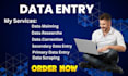 do data mining data correction primary and secondary data entry jobs low price