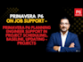 provide ongoing primavera p6 support for construction and epc projects